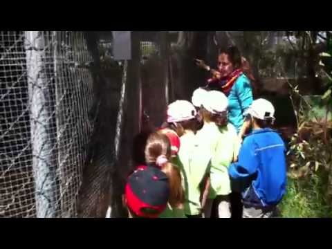 Cole Assumpció granja escola Museros 2