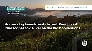 Harnessing investments in multifunctional landscapes to deliver on the Rio Conventions