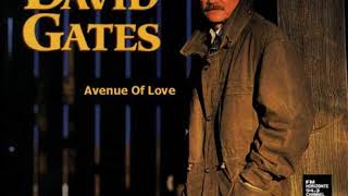 David Gates - Avenue Of Love