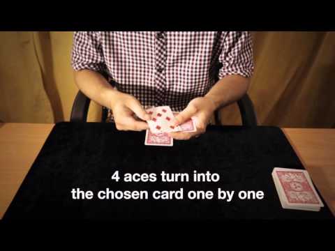 Follow the Rabbit by Creative Artists - Video DOWNLOAD