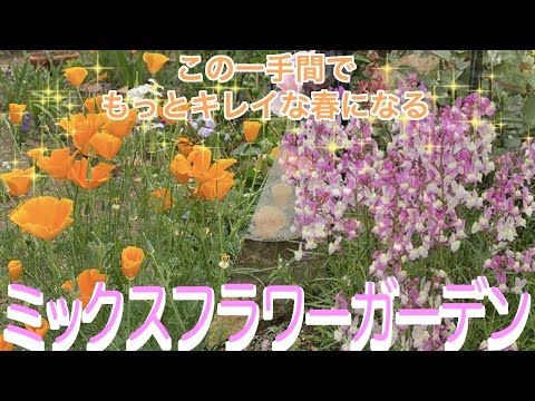 バルコニー用の水やり不要の完全な太陽の植物 ゼラニウム 多肉植物 観賞用草