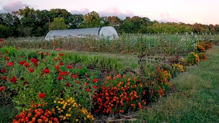 Garden and Homestead Life | September 2021