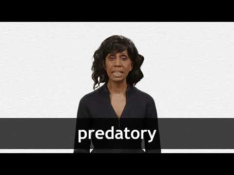 PREDATORY definition and meaning | Collins English Dictionary