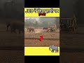 JCB ने किया हाथी पर जानलेवा हमला JCB Vs Elephant Short