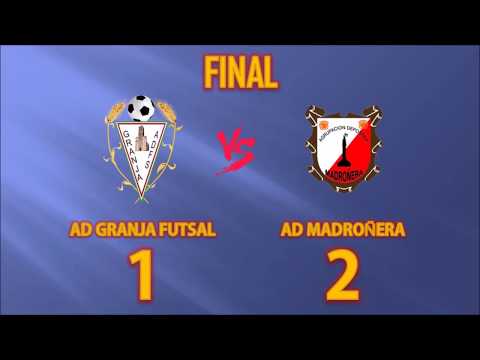 RESUMEN JORNADA 12 GRANJA 1-2 MADROÑERA