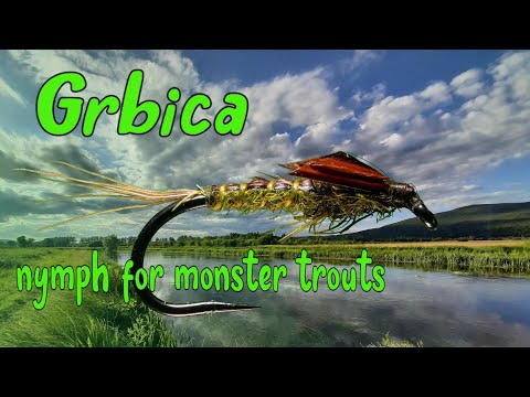 Grbica Nymph (Nymph designed for river Gacka)