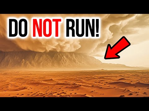 What Is a Haboob and Why You Should Be Afraid of It?