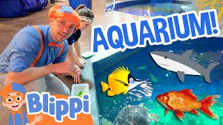 Download lagu Blippi Visits an Aquarium (Ody Aquarium) | Blippi Full Episodes | Sea Animals for Kids | Blippi Toys mp3