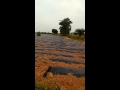 Making Farms For Dummies Simple Technologies That Reduces Cost