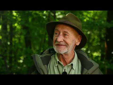 Reviczkyvel az Erdőben – IV. évad - 6/12.  Szarvasgomba, a magyar erdő kincse