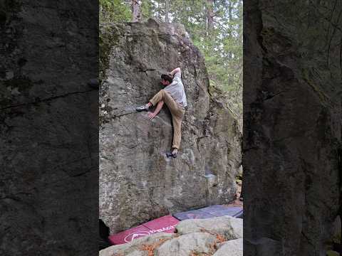 Barbarella 7a Magic Woods