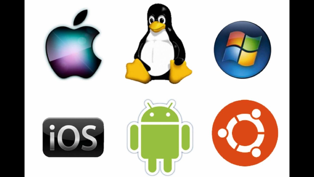 OPERATING SYSTEM TDS/DATA PROCESSING 3RD TERM SS1