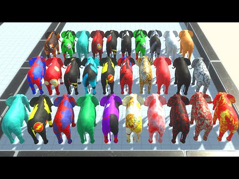 Color Elephant Race eat to the orange pig - Animal Revolt Battle Simulator