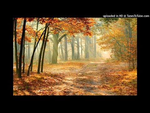 Goditje në zemër (Nexhat Mujovi-Virusi & Sabri Fejzullahu) - cover instrumental