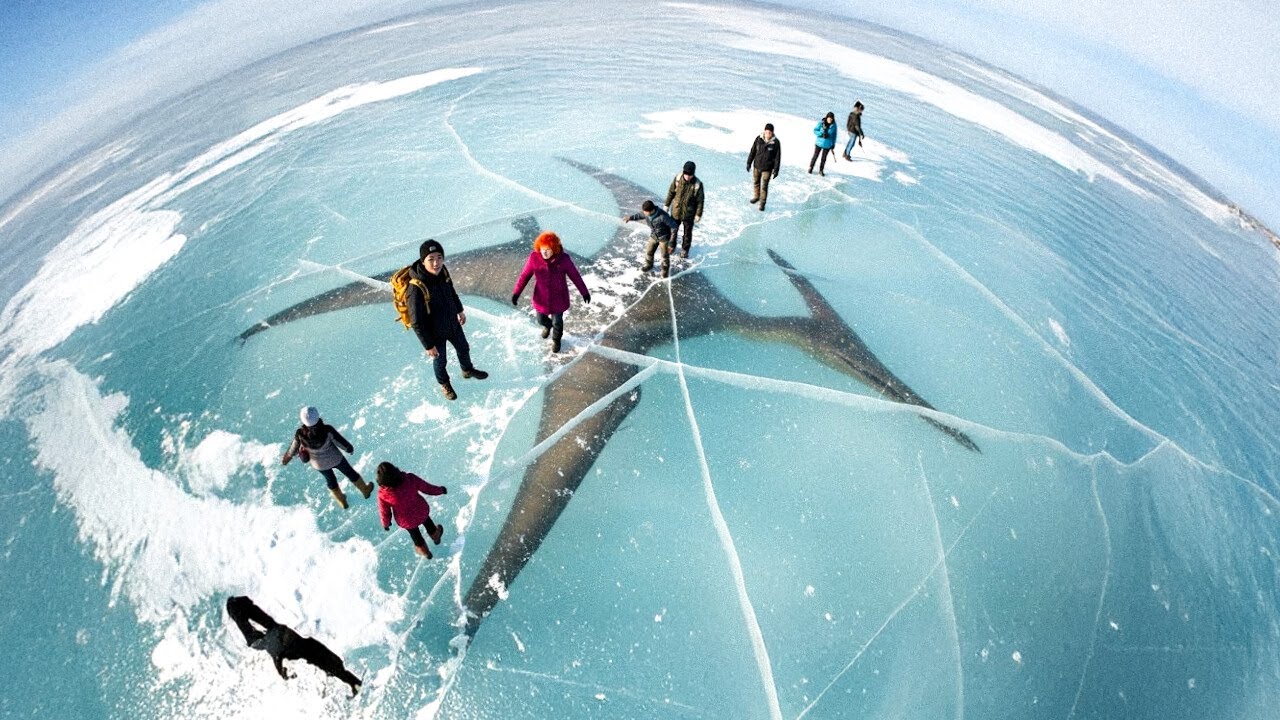 Prehistoric Monster Found Frozen and Other Amazing Discoveries in Ice