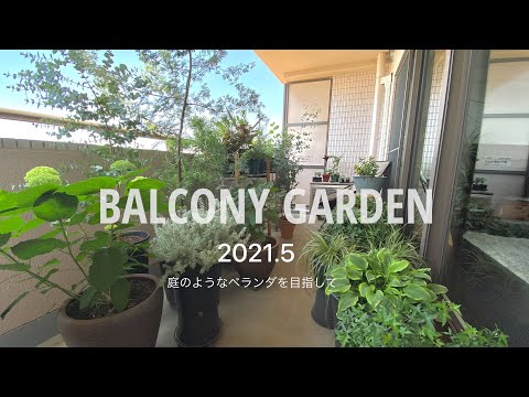 garde-corps en verre graminées-ornementales-balcon