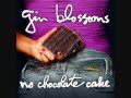Gin Blossoms - I Dont Want To Lose You Now