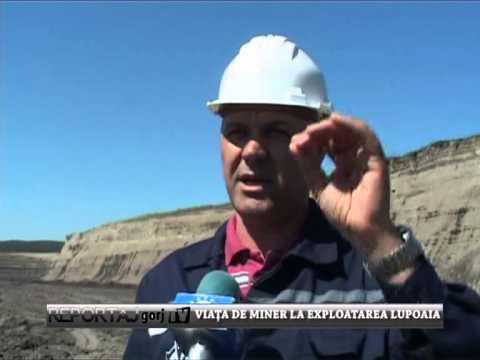 REPORTAJ LUPOAIA ANDREEA 1005