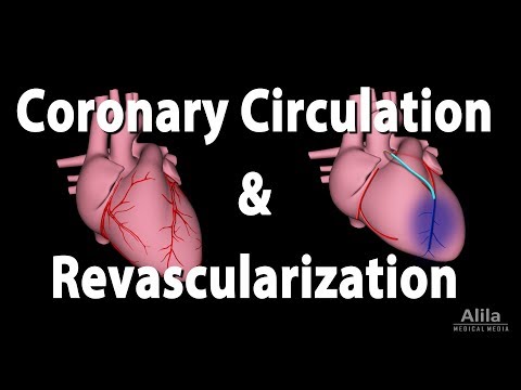 Coronary Circulation and Revascularization, Animation