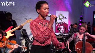 Sabrina Starke, Euro Cinema, Paul van Kessel & Lucas van Merwijk - Mijke's Middag