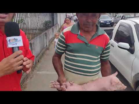 Beco da troca em feira de Araruna PB 