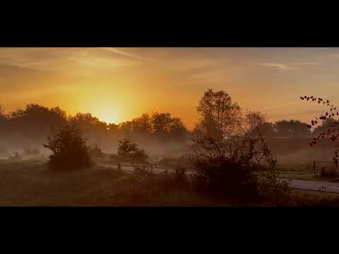 Legacy Pilots - Colors & Light