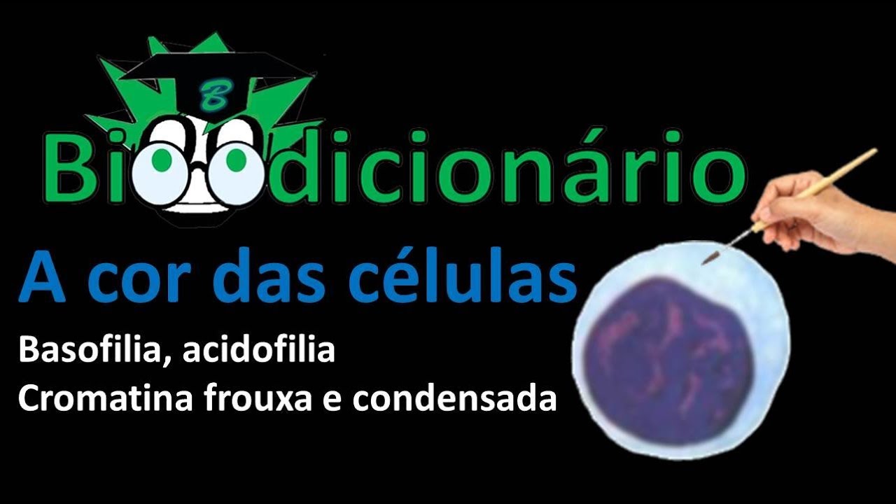 basofilia, acidofilia, cromatina frouxa e densa-A cor das células(Bioodicionário)