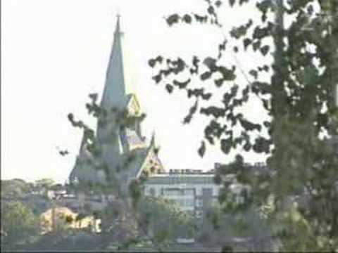 Magnus Carlsson - För kärlekens skull