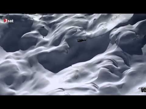 Doku 2014 Leben im Schnee Dokumentation Deutsch