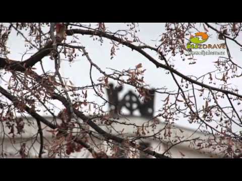 Zdravé Vánoce, 2. díl