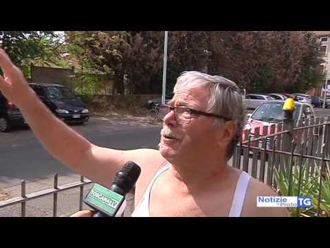 2017-07-24 PRATO - NUBE TOSSICA, I RESIDENTI,  LE PIANTE STANNO SECCANDO