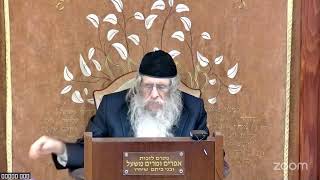 הרה"ג הרב וועכטר שליט"א כ"ז טבת תשפ"ה - מאמר באתי לגני תש"י (הרב אברהם מנחם מענדל וכטר) - התמונה מוצגת ישירות מתוך אתר האינטרנט יוטיוב. זכויות היוצרים בתמונה שייכות ליוצרה. קישור קרדיט למקור התוכן נמצא בתוך דף הסרטון