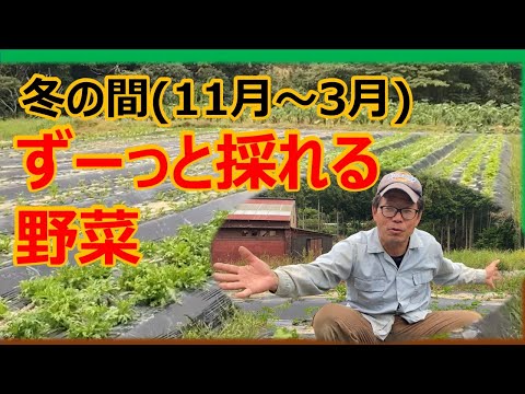 3月に庭で何をするか ショルダーショット 屋内植物の移植ポット