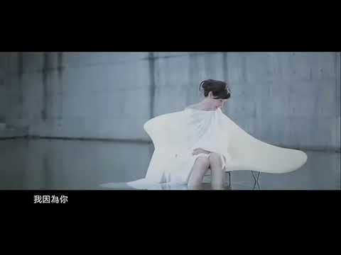 方季惟:情是太極MV