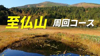 至仏山 (標高2,228m) 周回コース 紅葉時期の尾瀬の日本百名山 急勾配の上り専用登山道 2025年10月 12日 歩荷さんに遭遇しました