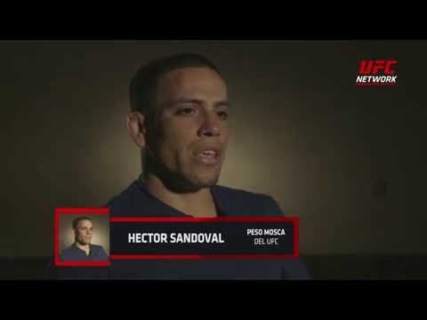 Hector Sandoval Injured At UFC On Fox 22