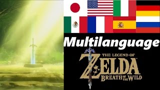The Master Sword Multilanguage | Memory 18 | Zelda Breath of the Wild