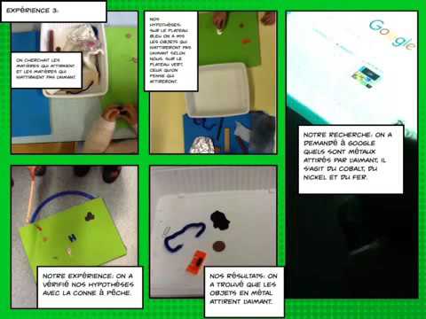 Cahier de sciences