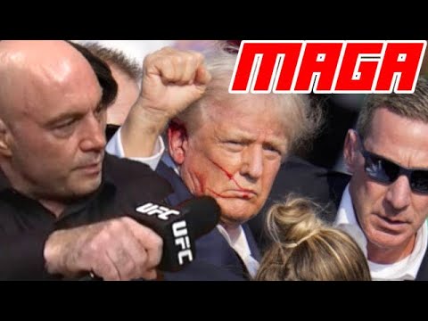  Joe Rogan Backtracks On RFK Jr. ‘Endorsement’ As Trump Responds 