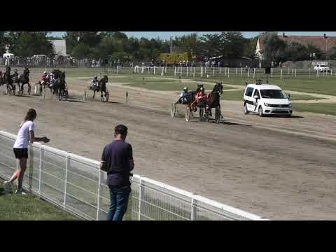 Trka "Almex-Pančevo" 18.08.2019 Montecatini - Branislav Mukić