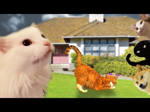 Astronomia - Coffin Dance Meme - Cat Cover #5