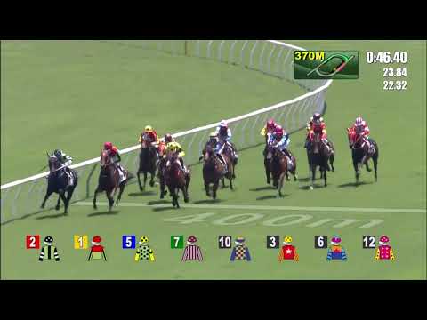 16/5/2021 (671) Diamond Brilliant - Z Purton