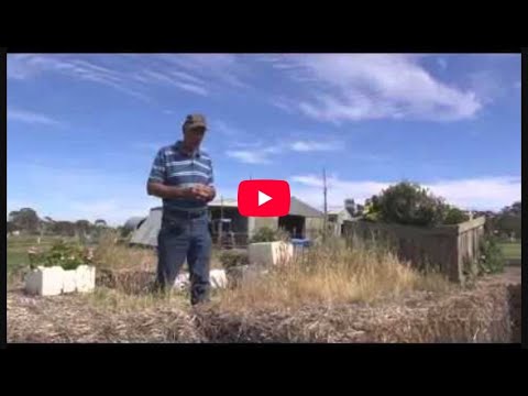 Large Scale Worm Composting with David Davidson | Farming Secrets