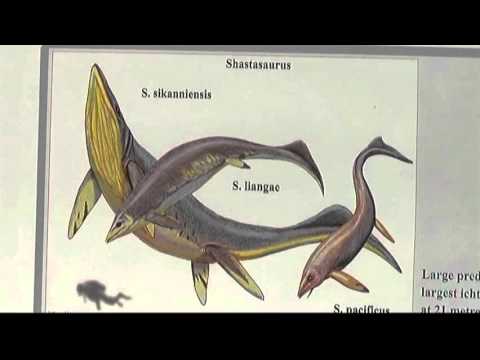 This Week in History Season 4 Episode 17 Triassic Fossils
