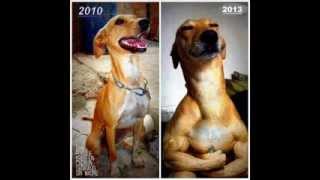 Siempre Positivo  En Algun Lugar,  Duncan Dhu