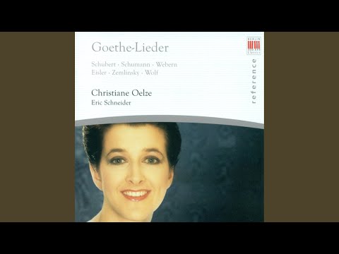 Gedichte von J.W. v. Goethe: No. 27. Die Bekehrte