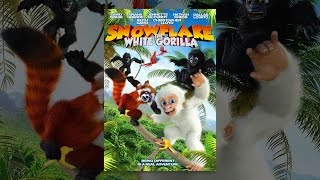 Snowflake, The White Gorilla