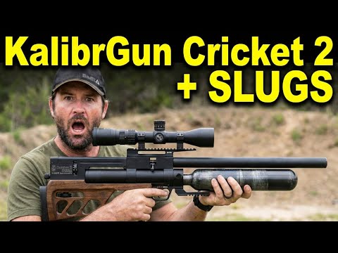 New for 2017: Keystone Crickett Precision Rifle 22LR