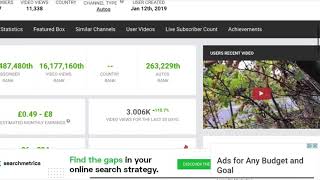 How Accurate Is SocialBlade