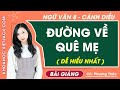 Đường về quê mẹ Ngữ văn lớp 8 Cánh diều